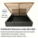 Home Collective Bett Doppelbett Polsterbett Bettgestell mit Lattenrost & Stauraum 120x200 140x200 160x200 180x200 cm mit Bettkasten, Kopfteil mit 3 Paneelen | weicher Samt | Creme und Aschgrau