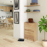 Meuble à chaussures avec 2 portes battantes, élégant, couloir, chambre, étagère à chaussures, meuble à chaussures 80x60x20cm