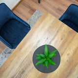 Chaise rembourrée, chaise de salle à manger, chaise de salon rembourrée, chaise avec pieds en métal, revêtement et assise en velours avec pieds noirs