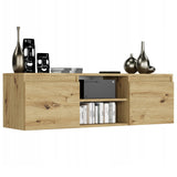 TV-Schrank, Lowboard, Fernsehschrank | Mit 2 Türen und 1 Einlegeboden | Funktional und langlebig | 120x40x36 cm (BxTxH)