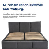 Home Collective Polsterbett, Bett mit Stauraum, Stauraumbett mit Lattenrost gepolstert Bett mit Kopfteil Doppelbett | Bettkasten mit Gasdruckfedern, Metallrahmen, Samtpolsterung | 120×200 | 140x200 | 160x200 | 180x200 cm