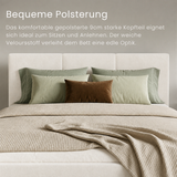 Home Collective Polsterbett, Bett mit Stauraum, Stauraumbett mit Lattenrost gepolstert Bett mit Kopfteil Doppelbett | Bettkasten mit Gasdruckfedern, Metallrahmen, Samtpolsterung | 120×200 | 140x200 | 160x200 | 180x200 cm