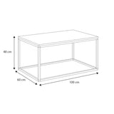 Table basse noir ou blanc, table d'appoint design loft, surface résistante aux rayures, table d'appoint de salon 100x60x48 cm (LxLxH)